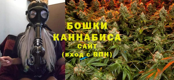 шишки Абаза